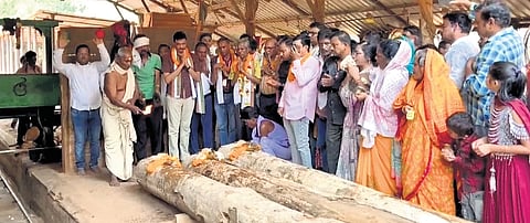Rituals being conducted before cutting of the logs in Cuttack on Friday