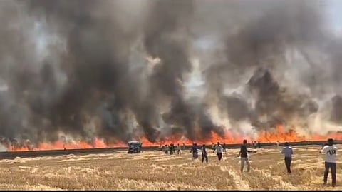 Fanned by strong winds, the fire spread rapidly and engulfed multiple fields within a short span.