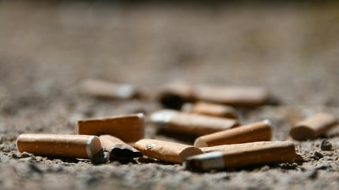 The tobacco industry is one of the most environmentally-harmful industry