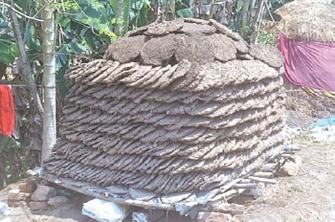 With cow dung cakes in demand, the production is on the rise and so is the price.