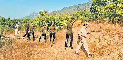 Members of the women enforcement squad patrolling in Debrigarh sanctuary.