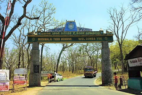 Mudumalai Tiger Reserve