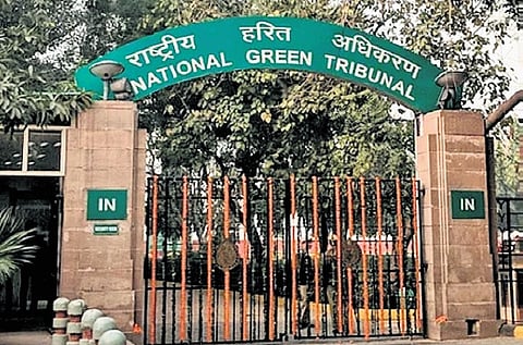 NGT stops deployment of forest personnel for poll duty
