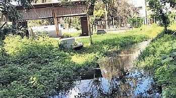 Yelahanka-Puttenahalli Lake