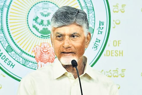 Chief Minister N Chandrababu Naidu