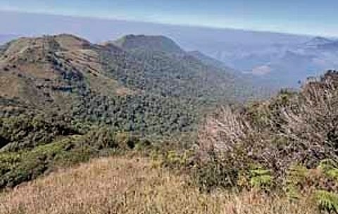 Tadiandamol, the highest peak of Kodagu district, where the woman techie went missing