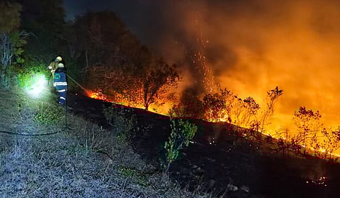 Image used for representation