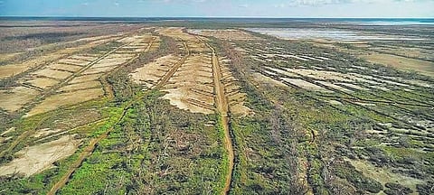 TN’s model shows how state-led coordination can translate into on-ground impact by aligning ecological restoration with governance systems, the report stated