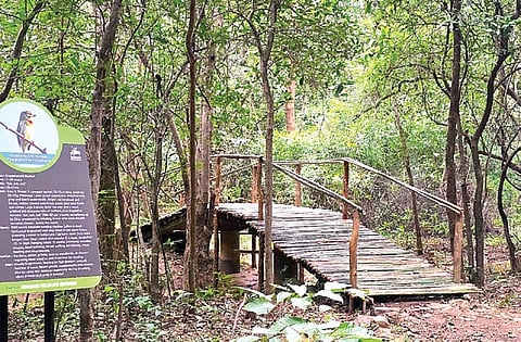 Debrigarh Wildlife Sanctuary
