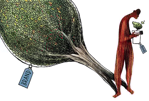 In 2025, the total business valuation of the IPL reportedly reached $18.5 billion. That’s eighteen-and-a-half unicorns in startup language