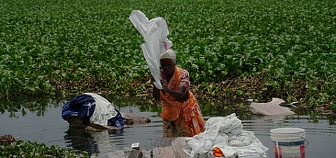 Invasive water hyacinth a long stretch of the Vaigai river in Madurai, create mosquitoes, obstructing water flow