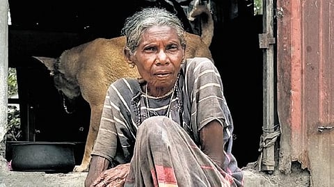 Chellamma, 80, of Malampandaram tribe, at her home in Sathram after casting her vote.
