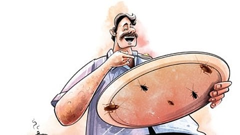 During the drive, 41 dhabas were inspected, 16 food samples were collected for laboratory testing, and Rs 1.45 lakh in penalties were imposed on violators.