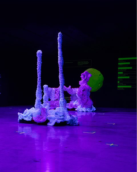 The IMAGINE: Coral Reef exhibition