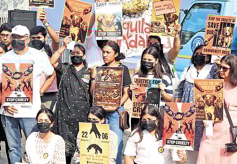 Members from Bengaluru Unites for Compassion hold a peaceful protest at Freedom Park in Bengaluru on Saturday against the killing of stray dogs on DRDO Phase 2 campus