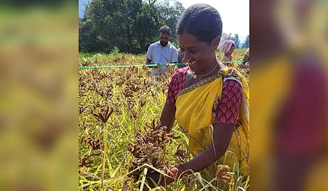 Ryots visit Sanjeevani’s Soil and Seed Information Centre to exchange seeds