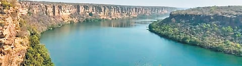 Govt steps in to protect Chambal river, halts hydro projects as record low flows push dolphins downstream
