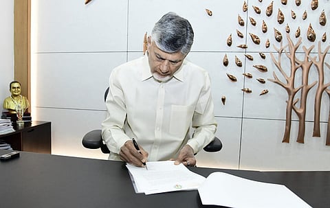 Chief Minister and TDP supremo N. Chandrababu Naidu
