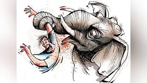 Ignoring the warnings and announcements, Kaibalya went to the forest early in the morning to pluck mangoes. He came face-to-face with a tusker which killed him on the spot