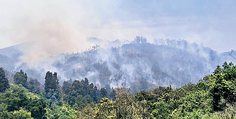 Fire broke out five days ago in the Pykara and Parsons Valley ranges, was brought under partial control on Sunday.
