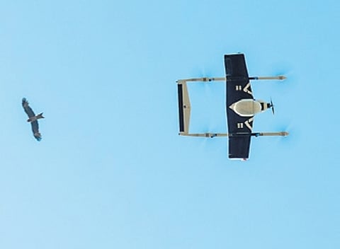 Operations were conducted at an altitude of 120 metres, as per guidelines.