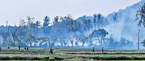 The firecracker storage unit was located within the Kuttamkulam paddy field