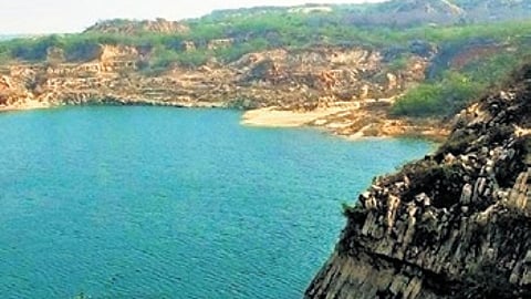 10-year scientific plan to boost conservation at Asola wildlife sanctuary