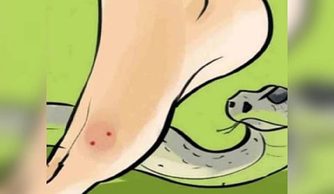 Image used representative purpose.