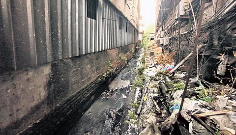 Heaps of garbage blocking the canal near Convent Junction