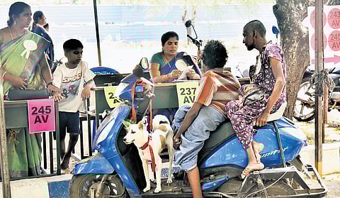 So special an outing: The dog has no part to play in the poll process, but the disabled voters took him along when they came to vote at Dr Ambedkar Government Arts College in Vyasarpadi.