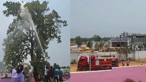 A viral video showing a fire engine being used to dislodge a pet parrot from a treetop has left the district administration red-faced, with the opposition alleging a “misuse of power”.