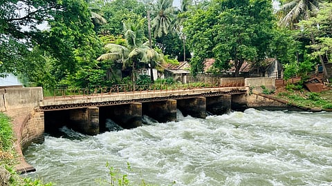 The proposed works include desilting of irrigation and drainage canals, repair of sluices and shutters, and construction of protective embankments.