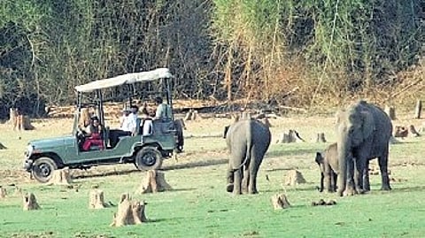 Image used for representational purposes only.