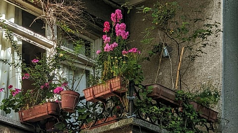 Understanding Microclimates in Urban Landscapes