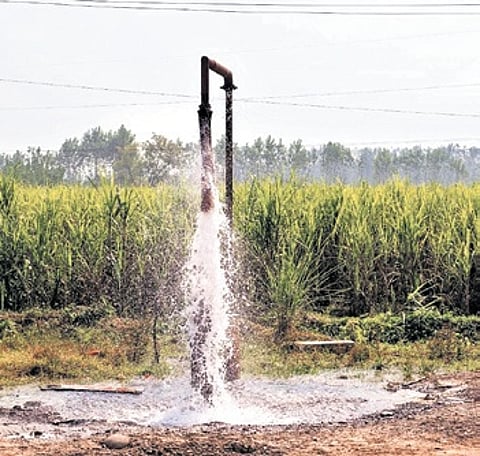 Groundwater depletion across India, high-level expert committee formed