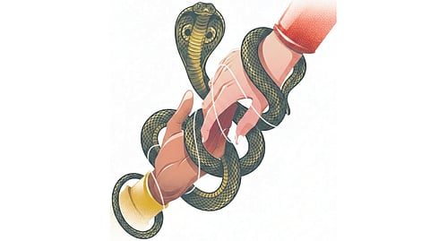 Representative image