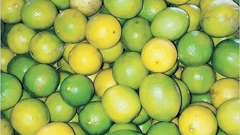 Representative image