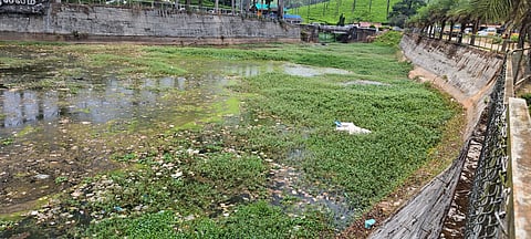 The boathouse an important tourist attraction of Valparai left without maintenance for the last three years affecting tourism activities during the summer vacation.