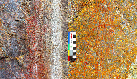 Prehistoric rock paintings were discovered by members of Yaakkai Trust at Vellarikkombai village in Kotagiri of Nilgiris district during a recent field survey.