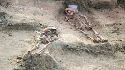 Skeletons in Chemmani mass grave in Jaffna.