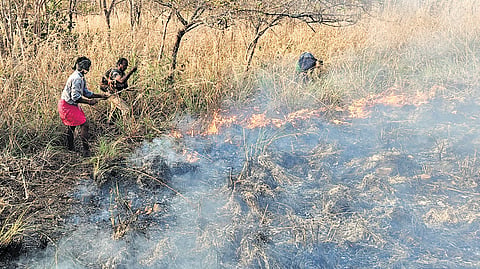 Wildfires