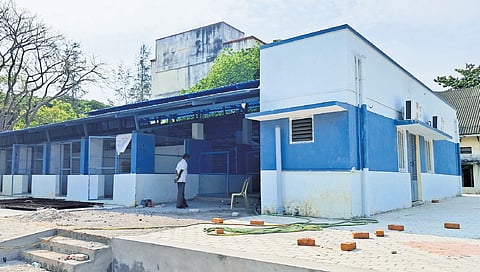 The animal birth control centre in Avadi.