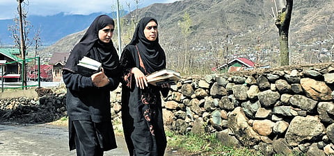 The book village reflects all three, bringing together education, community values, and the area’s natural richness.