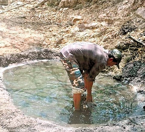 In the Jannaram forest division, teams have begun digging 4x4 feet pits, about one foot deep, in dried stream beds where moisture is still present.