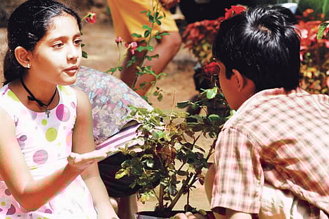 'Ball Pen' (Kannada)