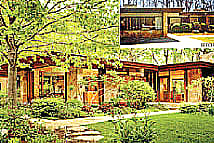 Feng Shui and tree energy