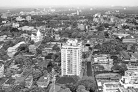 Consultancy proposal in cold storage