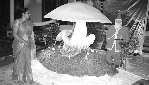 Her Christmas experiments with mushrooms