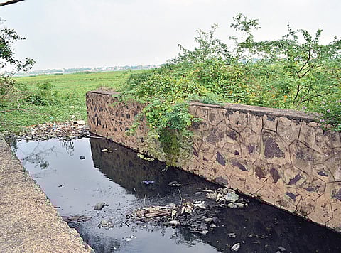 Ambattur lake turns stinking open drain