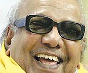 Branches of a banyan tree